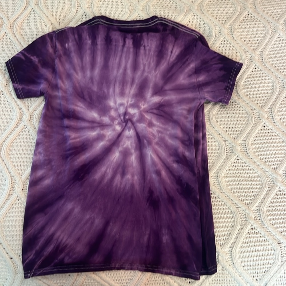 PacSun Raptors T Shirt - Picture 3 of 3
